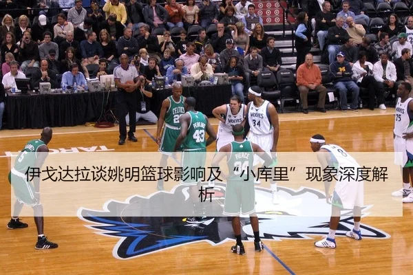 yi-ge-da-la-tan-yao-ming-lan-qiu-ying-xiang-ji-xiao-ku-li-xian-xiang-shen-du-jie-xi-2-887.jpg